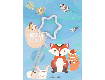 Produktbilder 1: Fox Yippie Yeah 449 Mini Wondercard