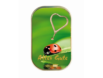 Produktbilder: Alles Gute Marienkäfer 204 Wondercake