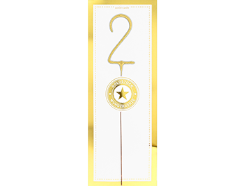Produktbild: 2 gold GIANT Goldstück weiß Wondercandle®