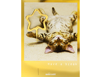 Produktbilder: Have a break Golden Polaroid Mini Wondercard